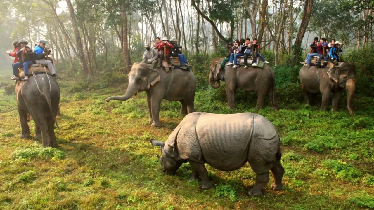 Elephant Back Riding and Rhinoceros during Chitwan Tour