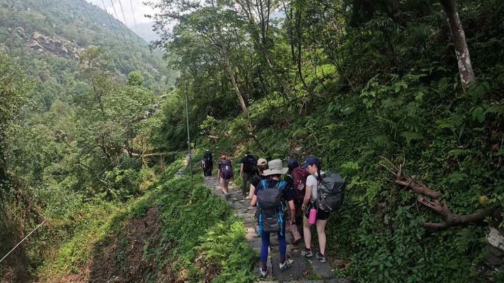 Trekkers descending stone path